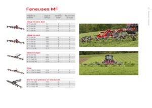 Przetrząsacze karuzelowe Massey Ferguson TD434 DN