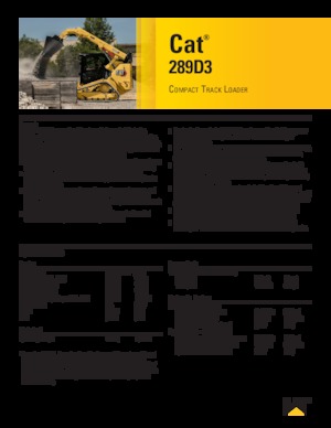 Ładowarki o sterowaniu burtowym Caterpillar 289D Serie 3 Deltalader