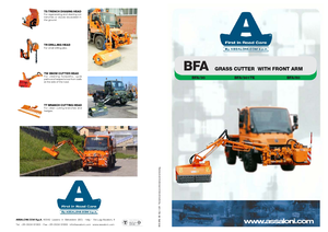 Sprzęt do prac letnich/Kosiarki skarpowe Assaloni BFA 30