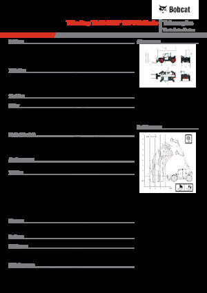Ładowarki teleskopowe Bobcat TL43.80HF 135 V