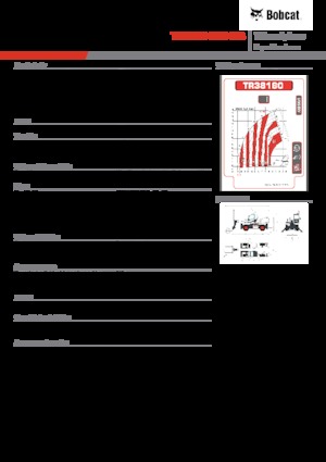 Ładowarka teleskopowa obrotowa Bobcat TR38160EVO IIIB