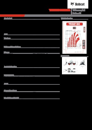 Ładowarka teleskopowa obrotowa Bobcat TR38160EVO IIIB
