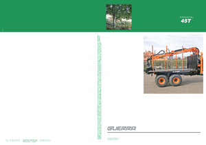 Żurawie do załadunku drewna Guerra 45 TW 1