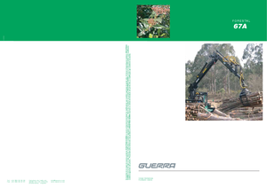 Żurawie do załadunku drewna Guerra 67 ATWYS 2