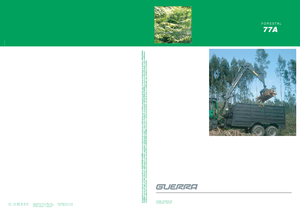 Żurawie do załadunku drewna Guerra 77 AY 1