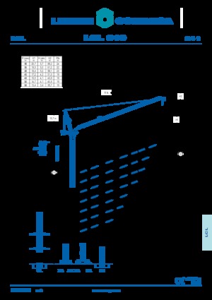 Żurawie wieżowe górnoobrotowe z wysięgnikiem wychylnym Comansa LCL 310