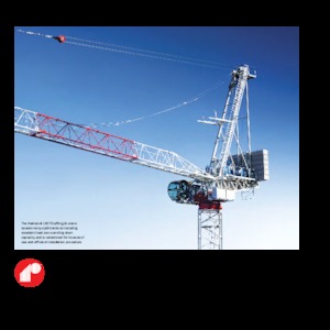 Żurawie wieżowe górnoobrotowe z wysięgnikiem wychylnym Raimondi LR273
