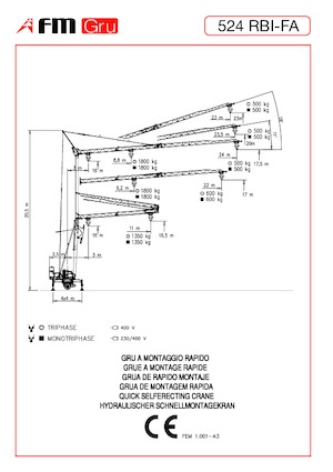 Żurawie wieżowe dolnoobrotowe z wysięgnikiem wodzakowym FM-Gru 524 RBI-FA