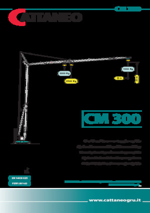 Żurawie wieżowe dolnoobrotowe z wysięgnikiem wodzakowym Cattaneo CM 300