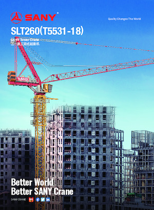 Żurawie wieżowe-WS-górnoobrotowy Sany SLT260 