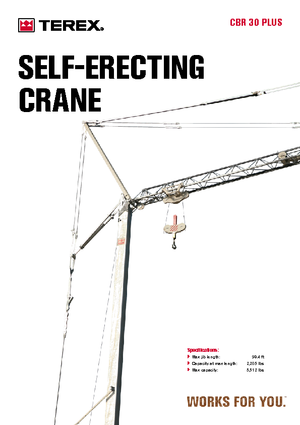 Żurawie wieżowe dolnoobrotowe z wysięgnikiem wodzakowym Terex Comedil (Zeppelin) CBR 30 Plus