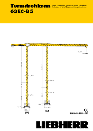 Żurawie wieżowe-WS-górnoobrotowy Liebherr 63 EC-B 5