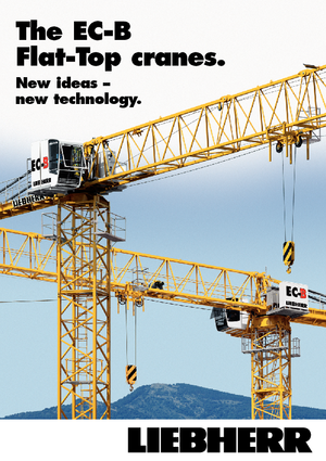 Żurawie wieżowe-WS-górnoobrotowy Liebherr 250 EC-B 12 Litronic