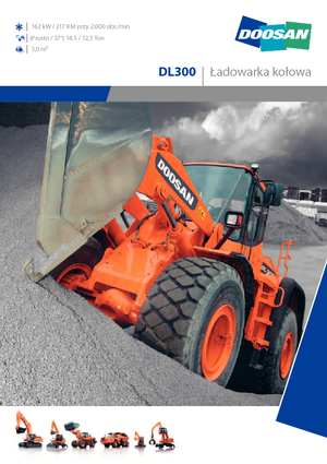 Ładowarki kołowe Doosan DL 300
