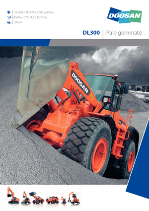 Ładowarki kołowe Doosan DL 300