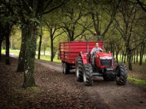 Traktory z napędem 2WD Massey Ferguson MF 3645 A