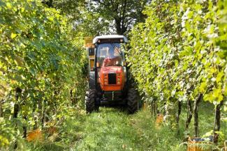 Traktory z napędem 4WD SAME Frutteto³ V 100 DT