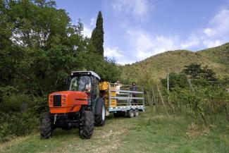 Traktory z napędem 4WD SAME Frutteto³ V 100 DT