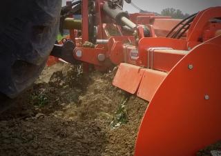 Brony wibracyjne Maschio Pantera L 470