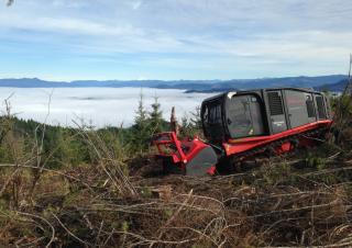 Pojazdy Ciągniki kompaktowe Prinoth Raptor 800