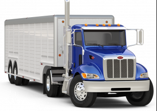 Samochody ciężarowe Ciągniki siodłowe ze sztywnym podwoziem Peterbilt 337 PACCAR PX-9