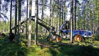 Maszyny leśne Kombajny Rottne H 11
