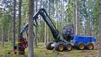 Maszyny leśne Kombajny Rottne H 11