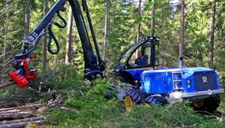 Maszyny leśne Kombajny Rottne H 11