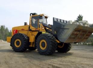Ładowarki kołowe Ljungby L 25