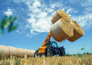 Ładowarki teleskopowe Dieci Agri Farmer 28.7 GD