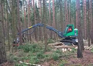 Maszyny leśne Kombajny Neuson Forest 103HV