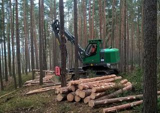 Maszyny leśne Kombajny Neuson Forest 103HVT