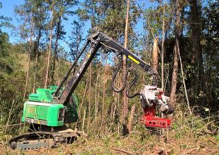 Maszyny leśne Kombajny Neuson Forest 183HVT
