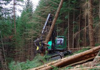 Maszyny leśne Kombajny Neuson Forest 243HVT