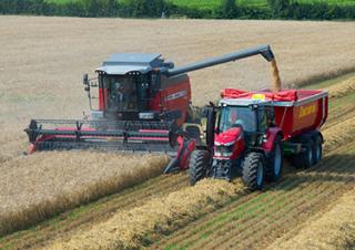 Kombajny zbożowe Massey Ferguson Activa 7340