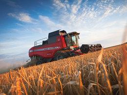 Kombajny zbożowe Massey Ferguson Beta 7360