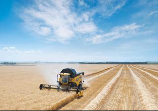 Kombajny zbożowe New Holland CX 6090 Elevation