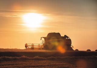 Kombajny zbożowe New Holland CX8.90   