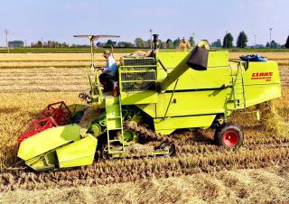 Kombajny zbożowe Claas Dominator 80