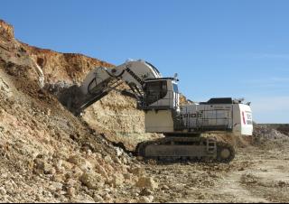 Koparki gąsienicowe Liebherr R 9100 B 