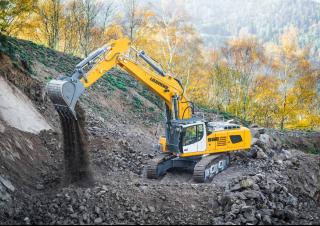 Koparki gąsienicowe Liebherr R 956 Litronic 