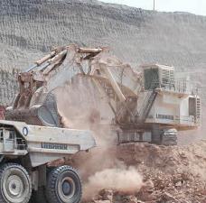 Koparki gąsienicowe Liebherr R 995 