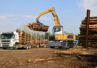 Koparki do prac przeładunkowych Liebherr LH 60 M Timber Litronic
