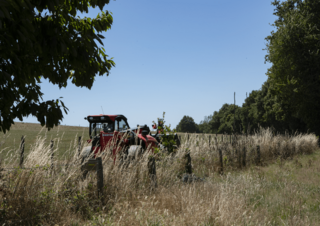 Ładowarki teleskopowe Manitou MLT 630-115 D Premium
