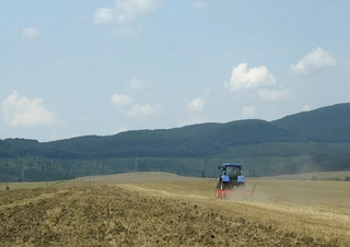 Mulczery Kuhn BK 320
