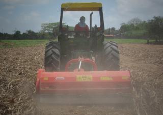 Mulczery Maschio Tornado 220