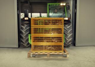 Ładowarki teleskopowe Merlo TF 30.9 L G
