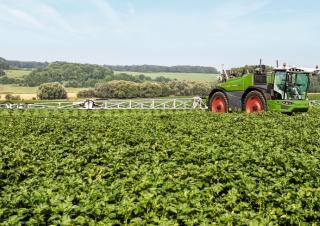 Opryskiwacze samojezdne Fendt Rogator 645