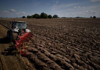 Pługi Maschio Unico L 4E
