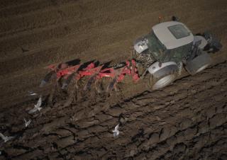 Pługi Maschio Unico L 4NE